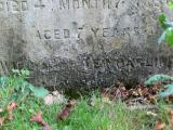 image of grave number 336094
